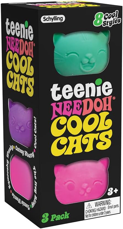 Schylling NeeDoh Fidget Toy