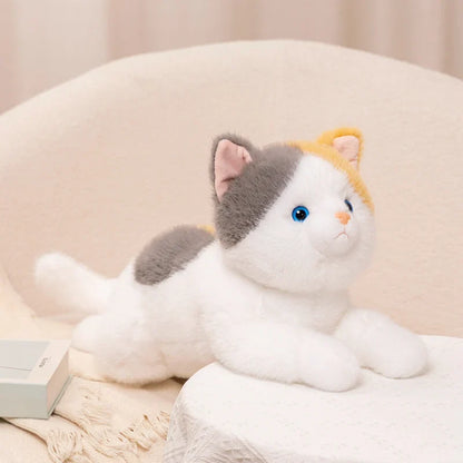 Soft Cat Plush Toy – Cozy Stuffed Animal Doll for Everyday Comfort